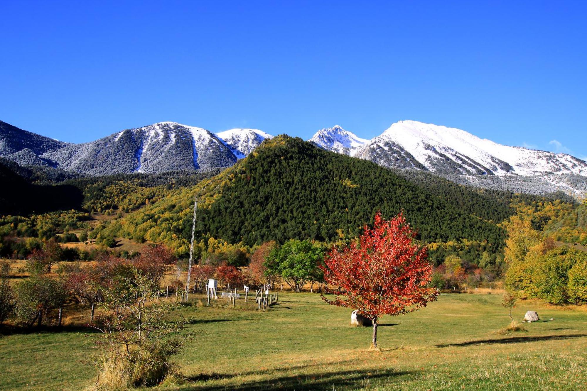 Monnatura Pirineus Son Del Pi المظهر الخارجي الصورة